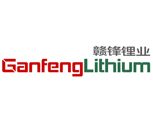 赣锋锂业集团