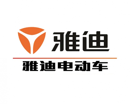 雅迪科技集团