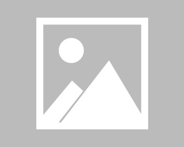 浙江乔顿服饰股份有限公司官网
